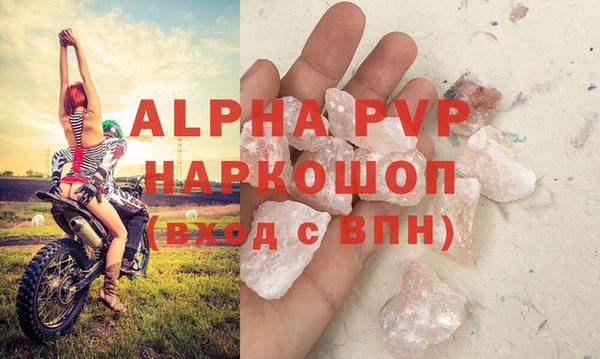 сатива Инсар