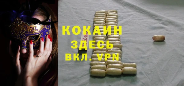 сатива Инсар