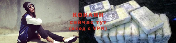 сатива Инсар