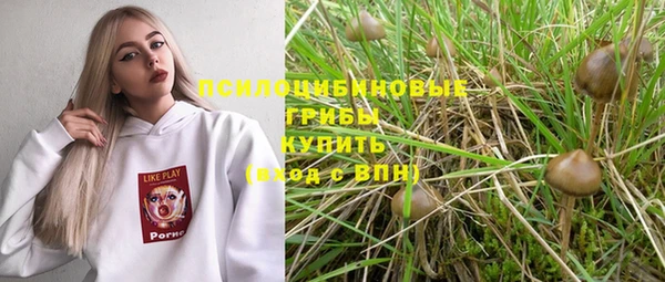 не бодяженный Инта