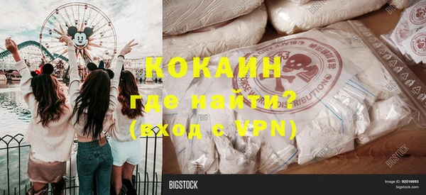 крисы Каменка