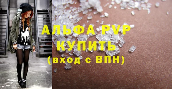 сатива Инсар