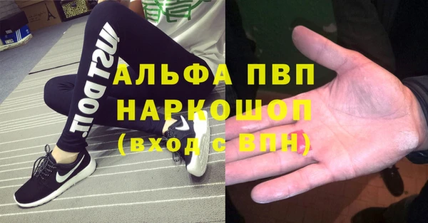 сатива Инсар