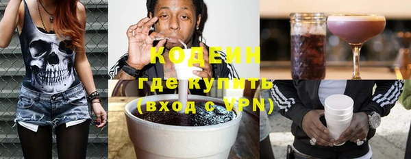 сатива Инсар