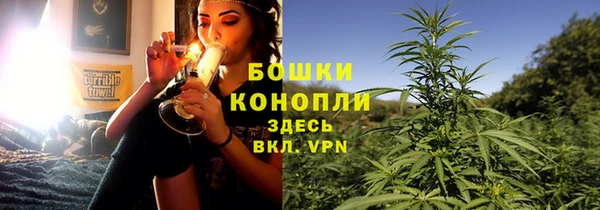 сатива Инсар
