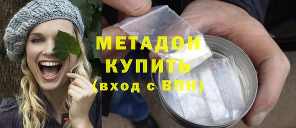 сатива Инсар